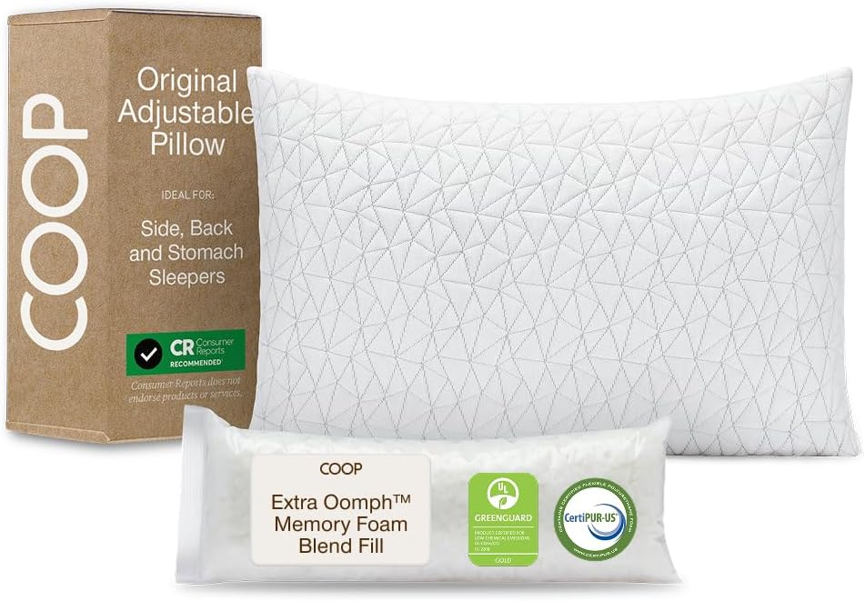 Coop Home Goods Pillow (B00EINBSEW)